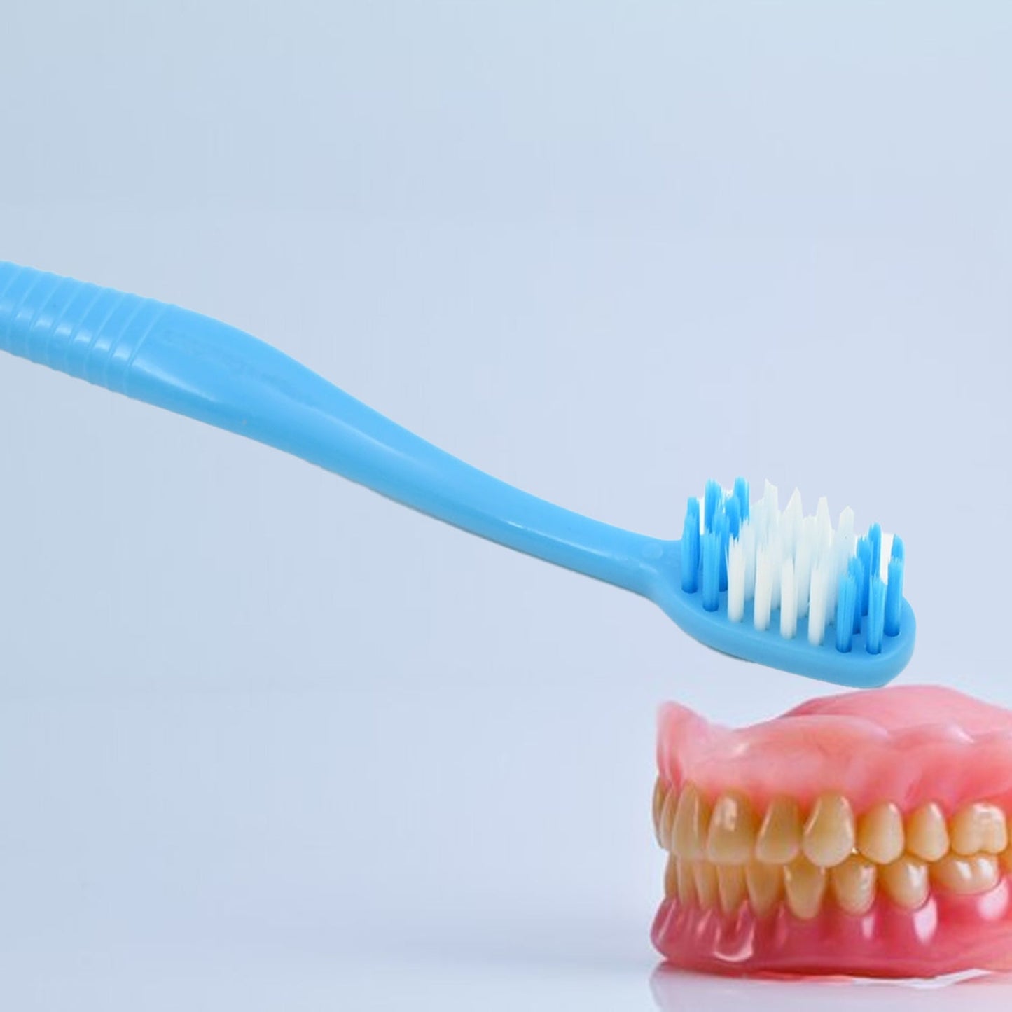 2-in-1 Soft Toothbrush & Tongue Cleaner with Cover – Scraper for Men, Women & Kids, Plastic Holder/Case (1 Pc)