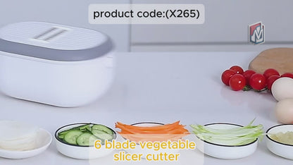 6 Blades Kitchen Accessories Tools  Appliances With Container  Handle (1 Set) (X265)
